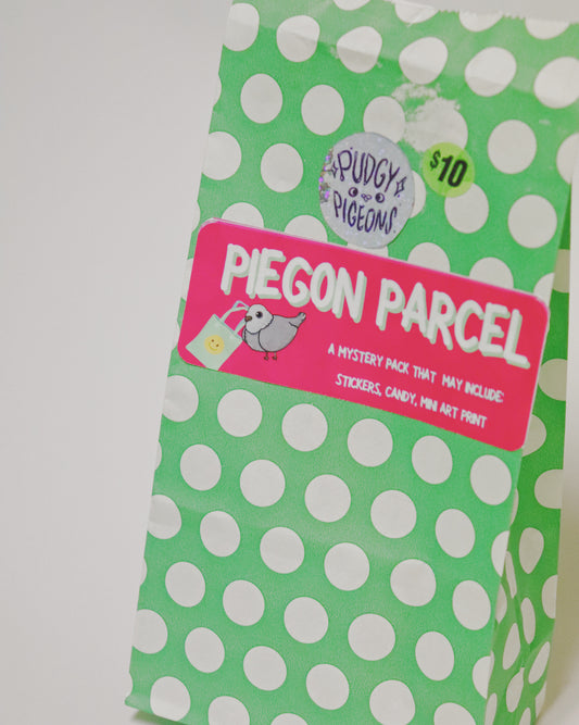 PIGEON PARCEL | MYSTERY SACK 🐦